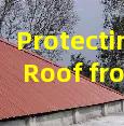 Protecting Your Roof from High Humidity and Mold